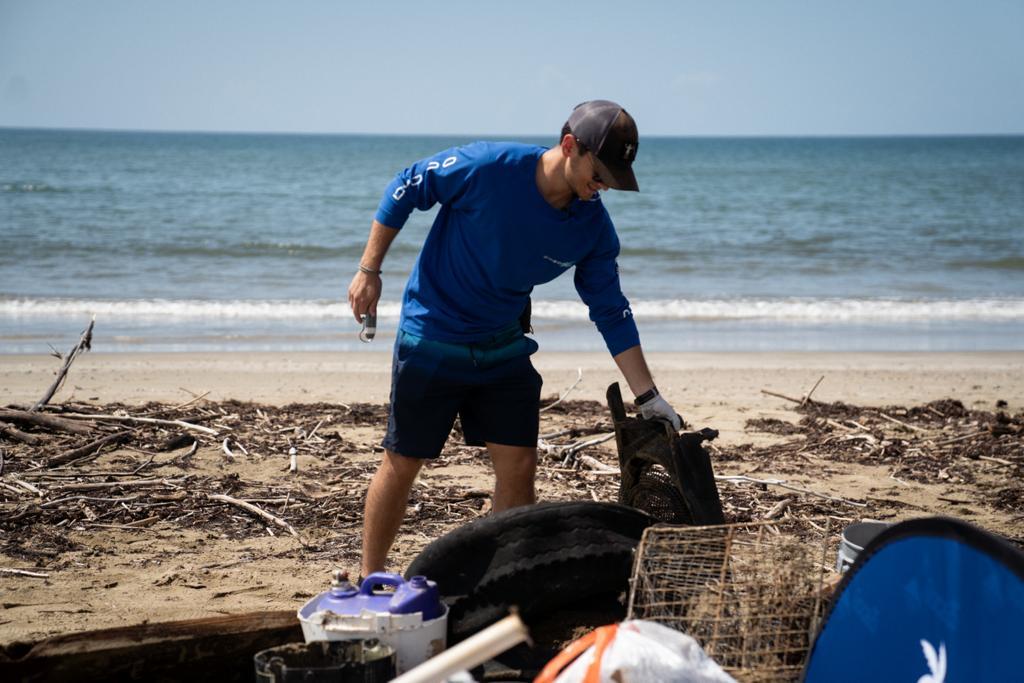 Las Tortugas Marinas de Puerto Rico: Guía Completa